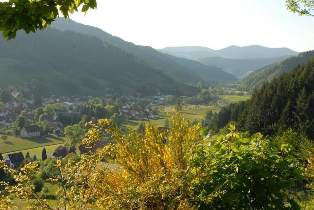 Oberbauernhof - Wohnung "Am Garten" -- Moderne Fewo Im Schoenen Schwarzwaldhaus กูทอัค ภายนอก รูปภาพ